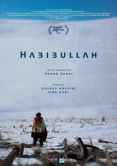 Befir film poster 4