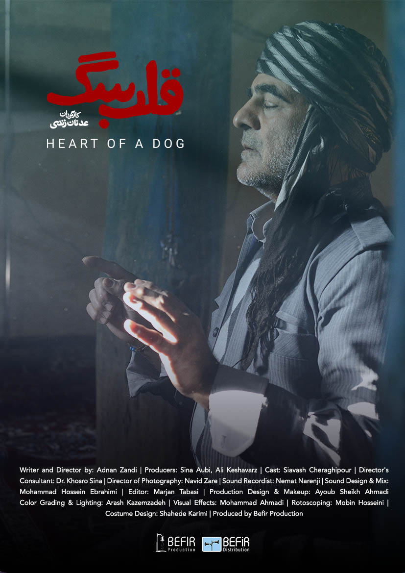 Befir film poster 8